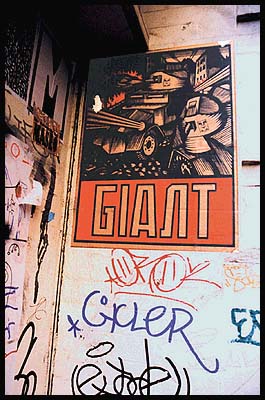 Tank Brown street shot.jpg