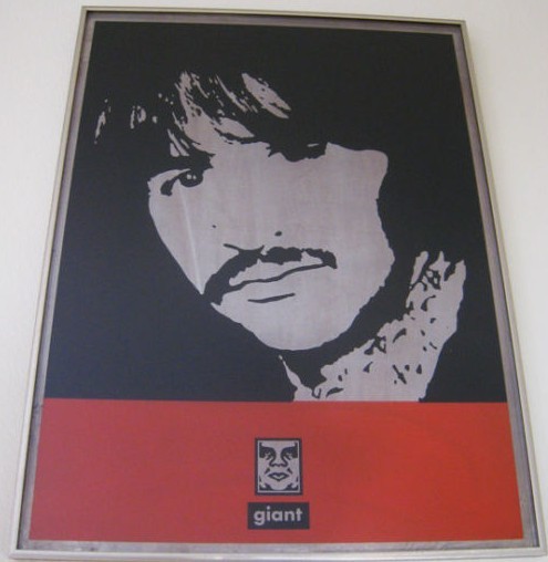 File:Ringo on Metal.jpg