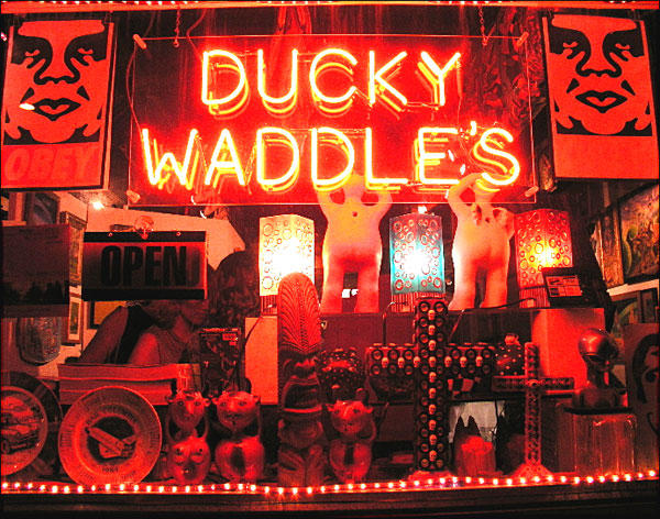 File:Ducky waddles.jpg