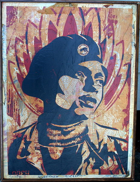 File:Unknown Black Panther HPM on Wood.jpg